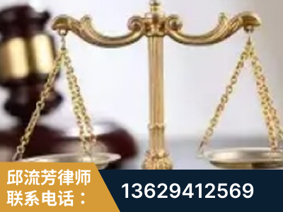 资阳-委托诉讼代理人出庭